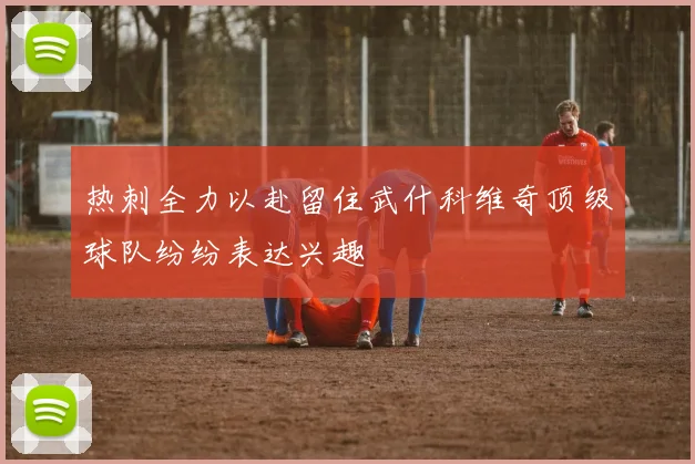 热刺全力以赴留住武什科维奇顶级球队纷纷表达兴趣