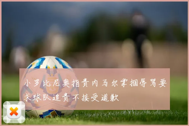 小罗比尼奥指责内马尔掌掴辱骂要求球队追责不接受道歉