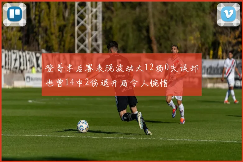 登哥季后赛表现波动大12场0失误却也曾14中2伤退开局令人惋惜